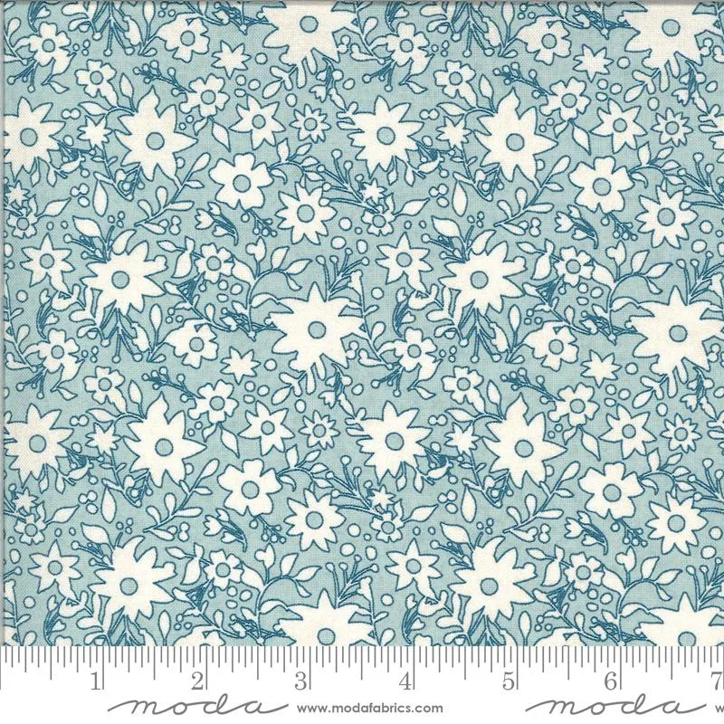 Cider  by Moda Fabrics GRANNY SMITH/AQUA