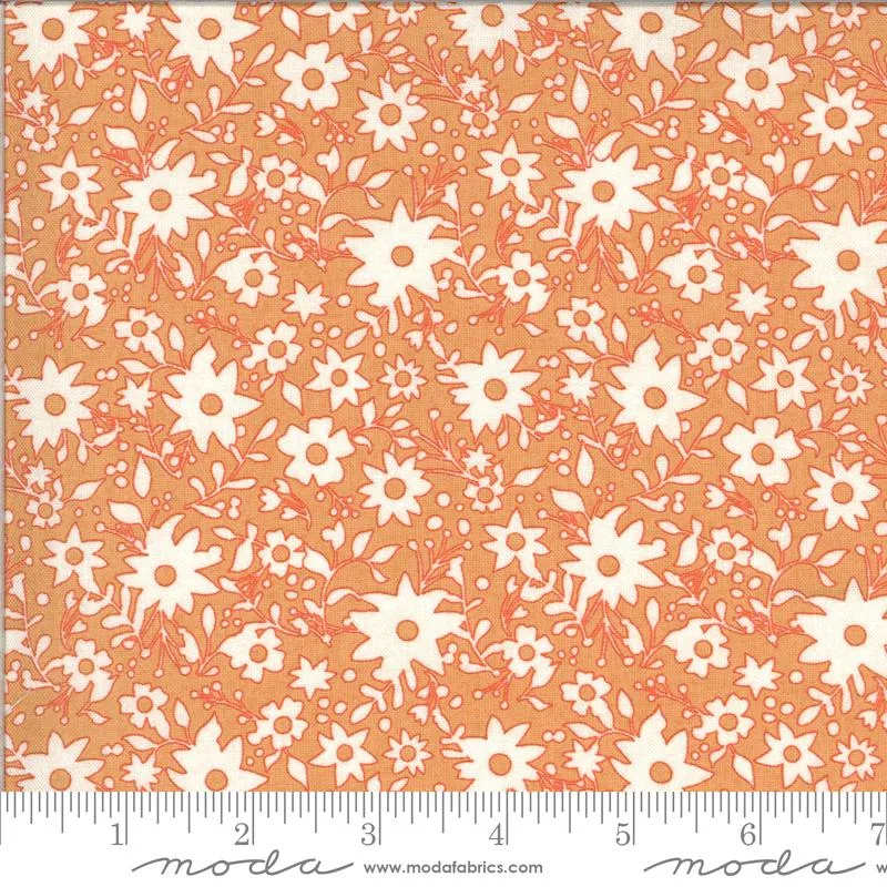 Cider  by Moda Fabrics GRANNY SMITH/PEACH