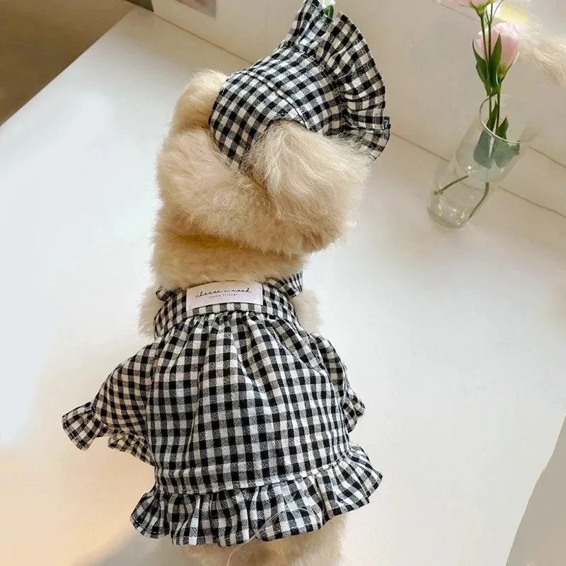 Cozy Black Dog Sweaters Winter Warmth