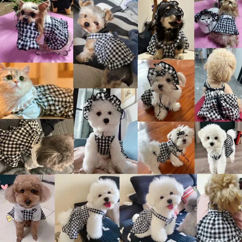 Cozy Black Dog Sweaters Winter Warmth