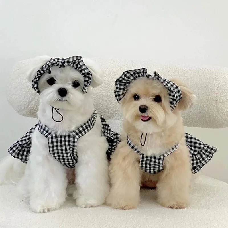 Cozy Black Dog Sweaters Winter Warmth