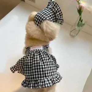 Cozy Black Dog Sweaters Winter Warmth
