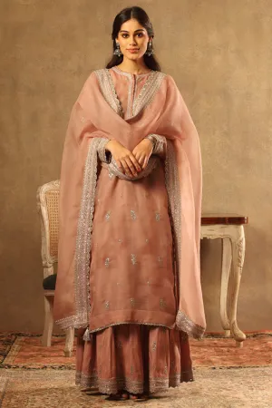 Embroidered Pink Pure Silk Organza Sharara Set