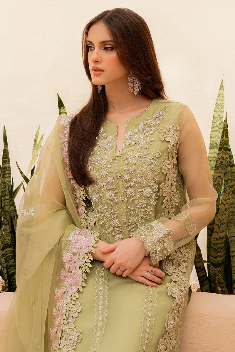 MUSHQ | LUXURY PRET PRINTED ORGANZA'23 | CELESTE