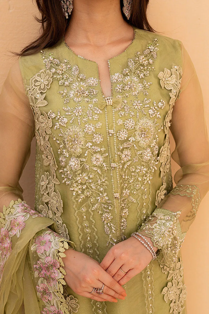 MUSHQ | LUXURY PRET PRINTED ORGANZA'23 | CELESTE