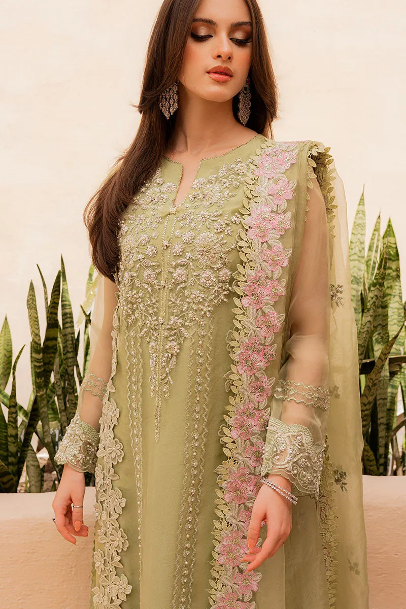 MUSHQ | LUXURY PRET PRINTED ORGANZA'23 | CELESTE