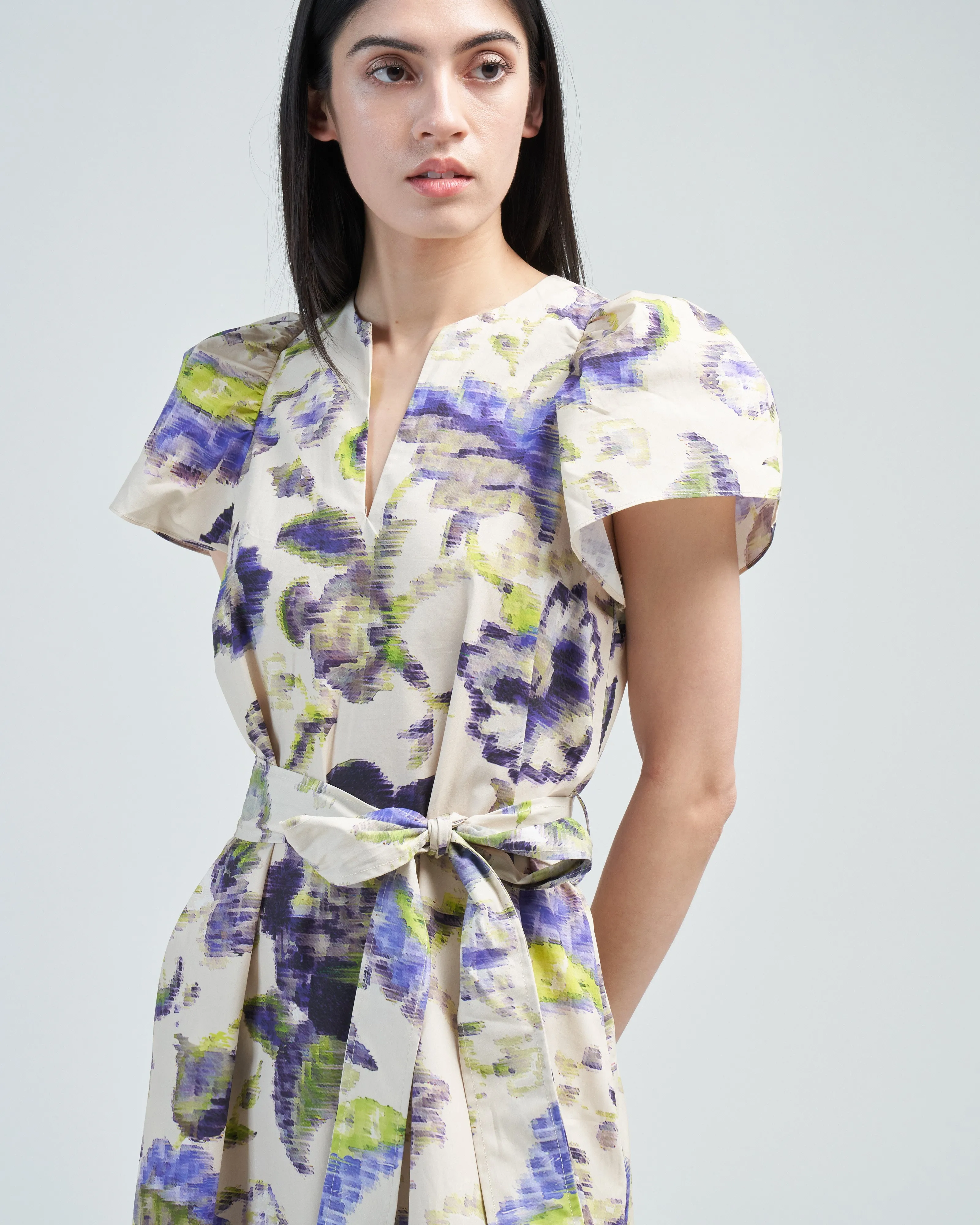 ruffle sleeve printed dress