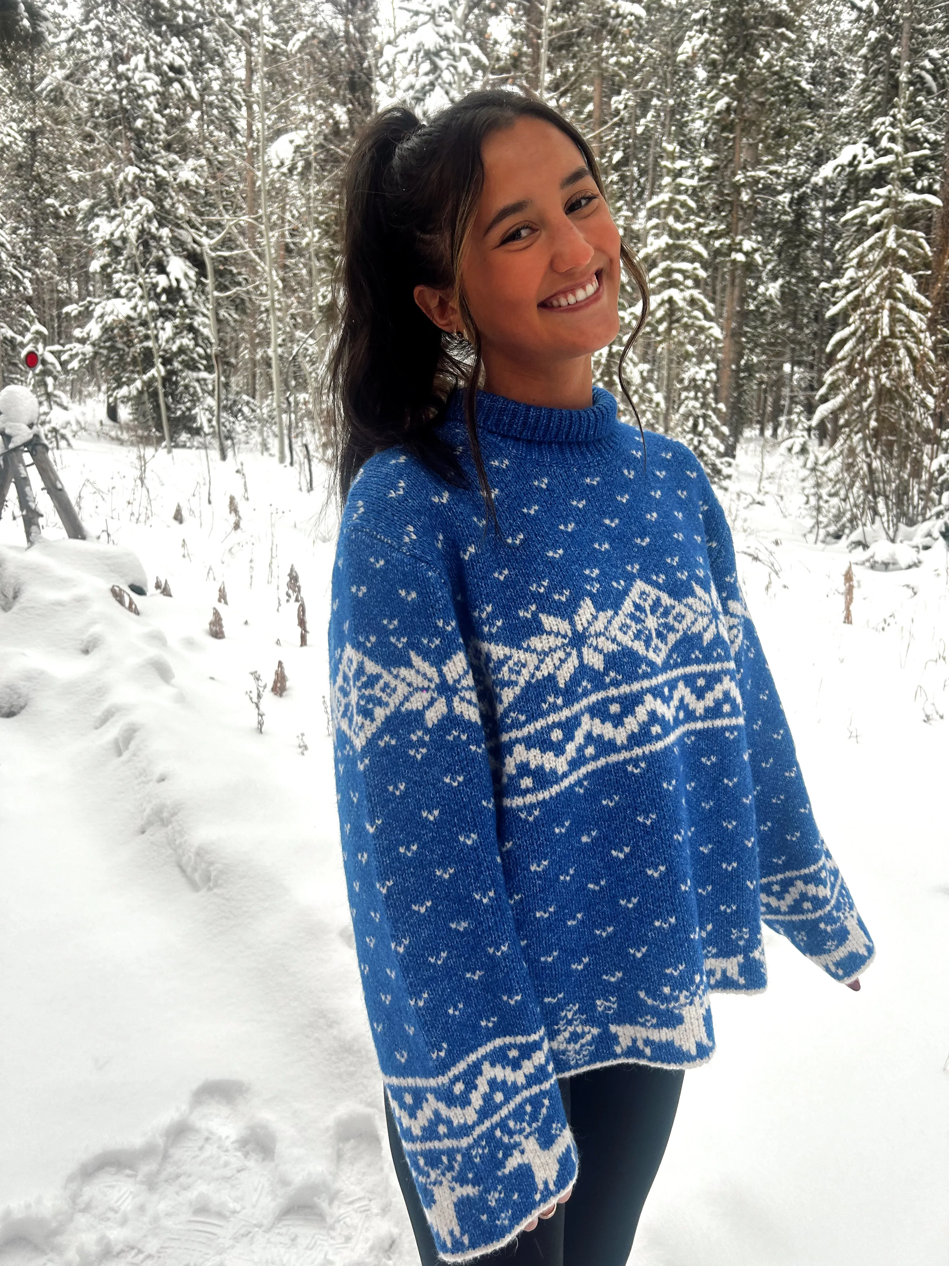 Ski Trip Sweater