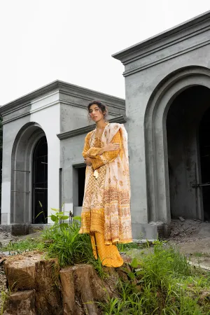 SOBIA NAZIR | FALL EDIT '24 | 1A