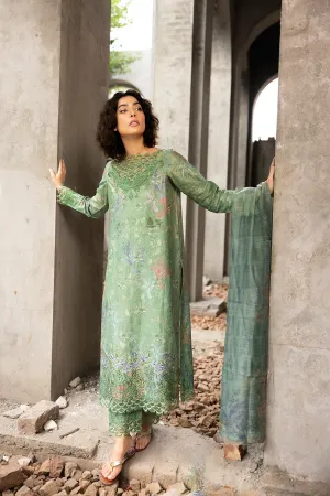 SOBIA NAZIR | FALL EDIT '24 | 3A